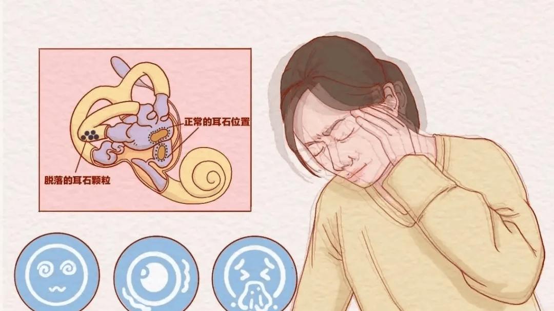 头晕不一定是头的问题，也可能是因为它！