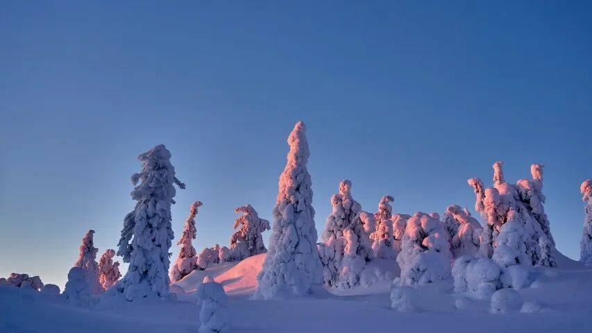 家电企业的渠道开盘别再自嗨了！