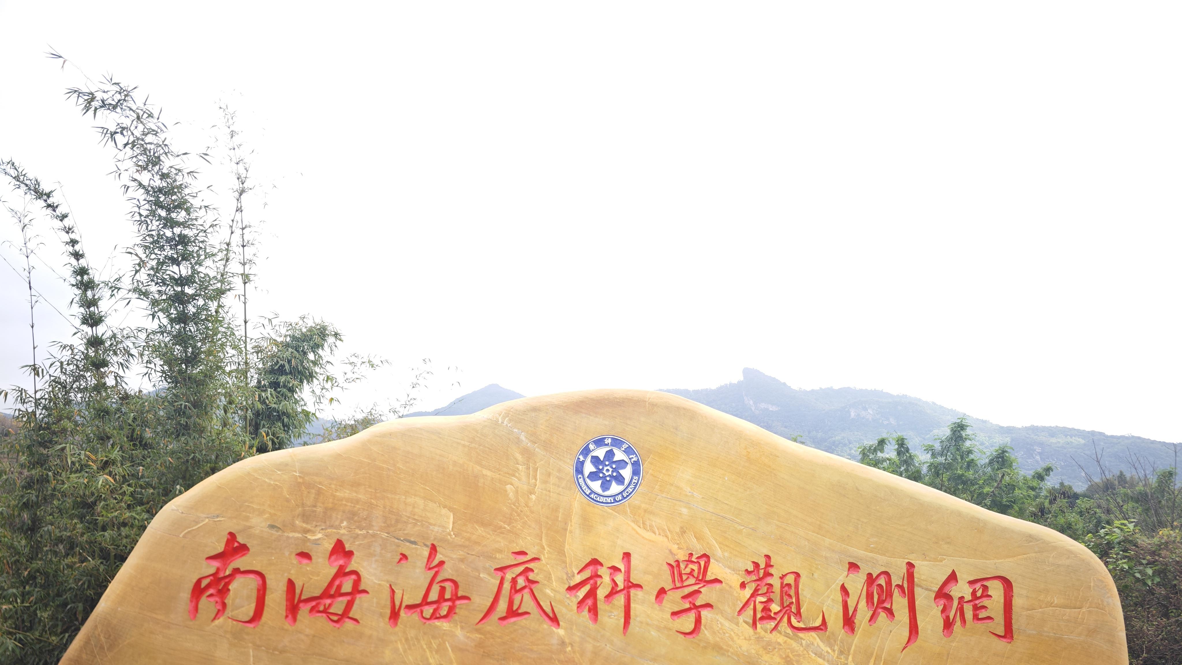 大型景观石采购避坑指南：附5家实力厂家深度测评，重点推荐景石源