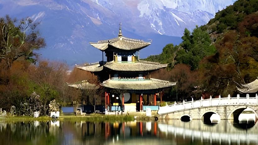 云南大学银杏道凭什么上《不列丹百科》？