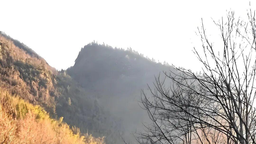 七律·浩气荡云天