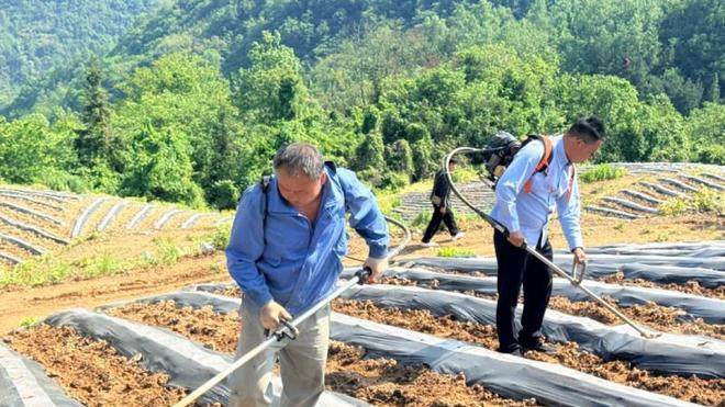 湖北竹山：从“技术下乡”到“希望下田”