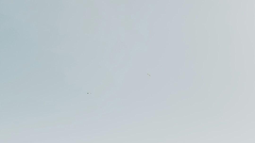 加盟玻纤聚氨酯系统门窗选对品牌才赚钱？德拉图用实例给出答案