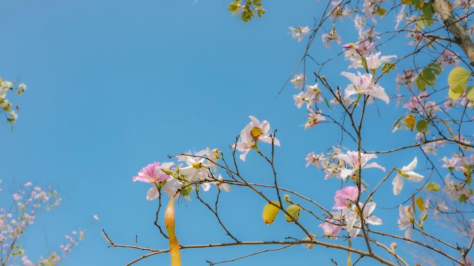 婚后买房，房产证上却是公婆的名字，老公还让我别计较，我气笑了