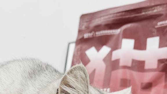 猫狗粮开封后能放多久？储存不当的4个后果