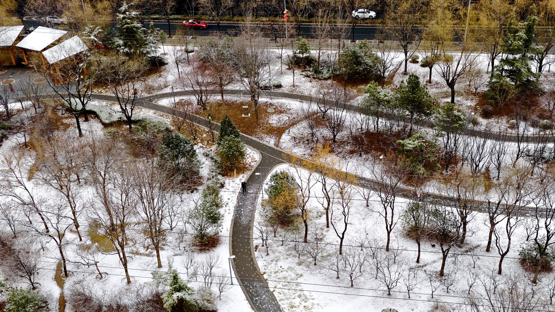 石景山拍客•今日精选 | 瑞雪启祥！石景山马年第一场春雪来了~