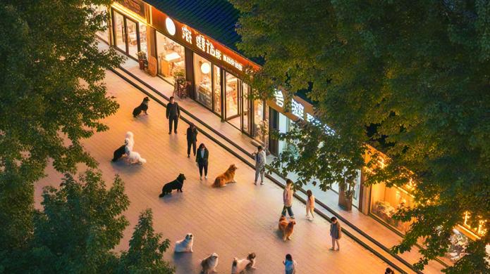 宠物友好街区治理术：从投诉到月入10万