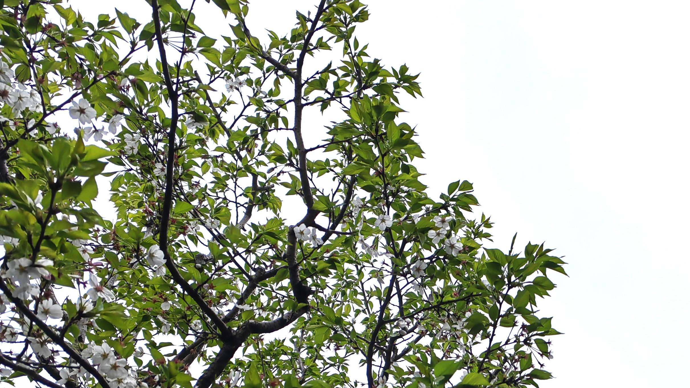 职场、哲学与思辨，有关吗？