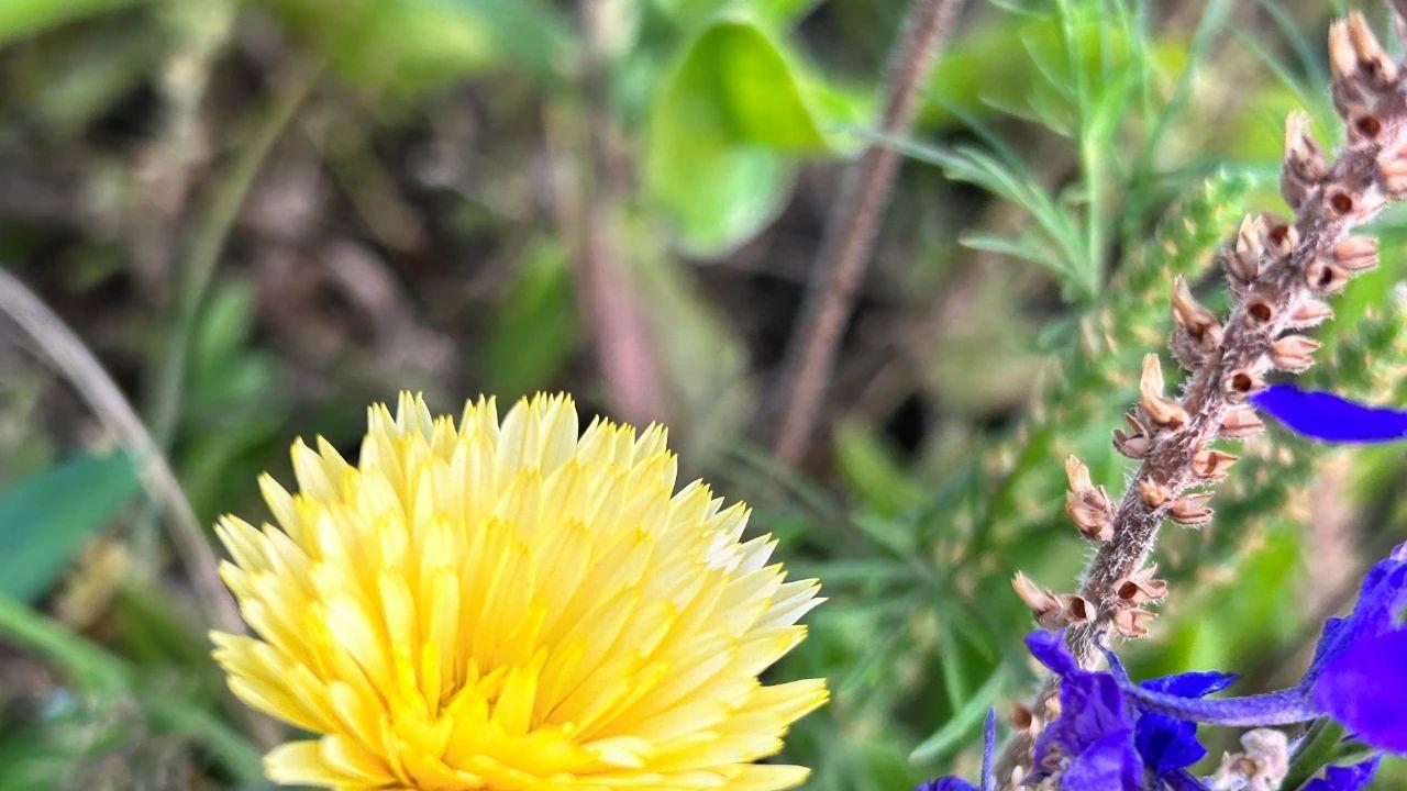 中年男女越界，常因两人做这些事，暧昧起来的