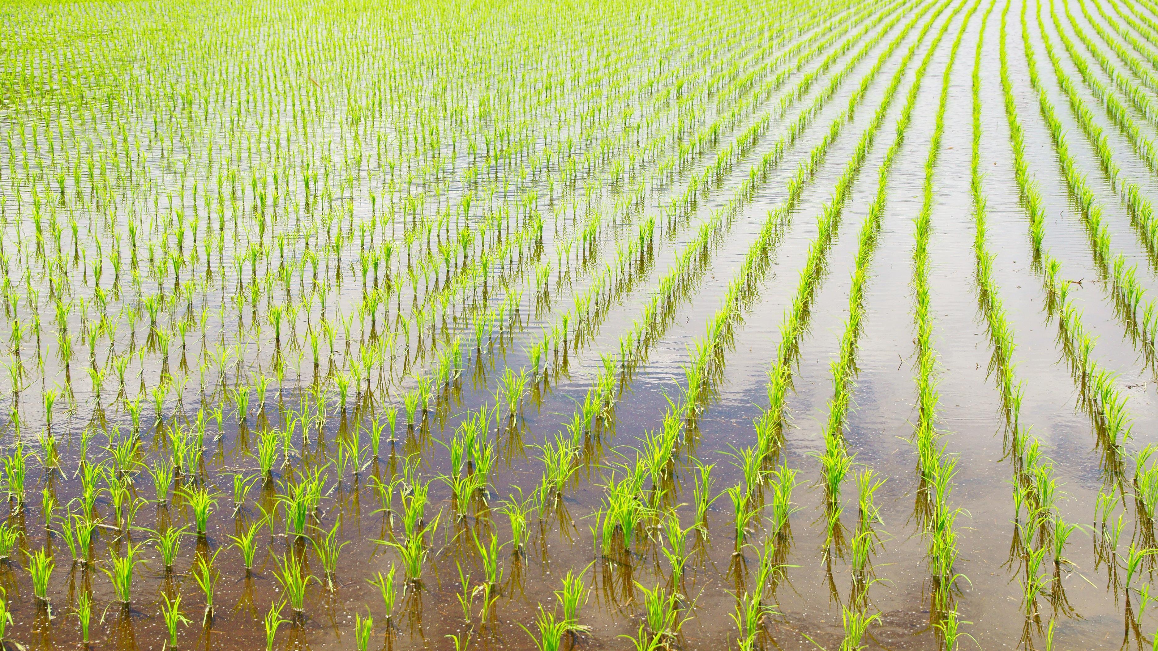 “美国在管理委内瑞拉”？这句话，很多人听反了