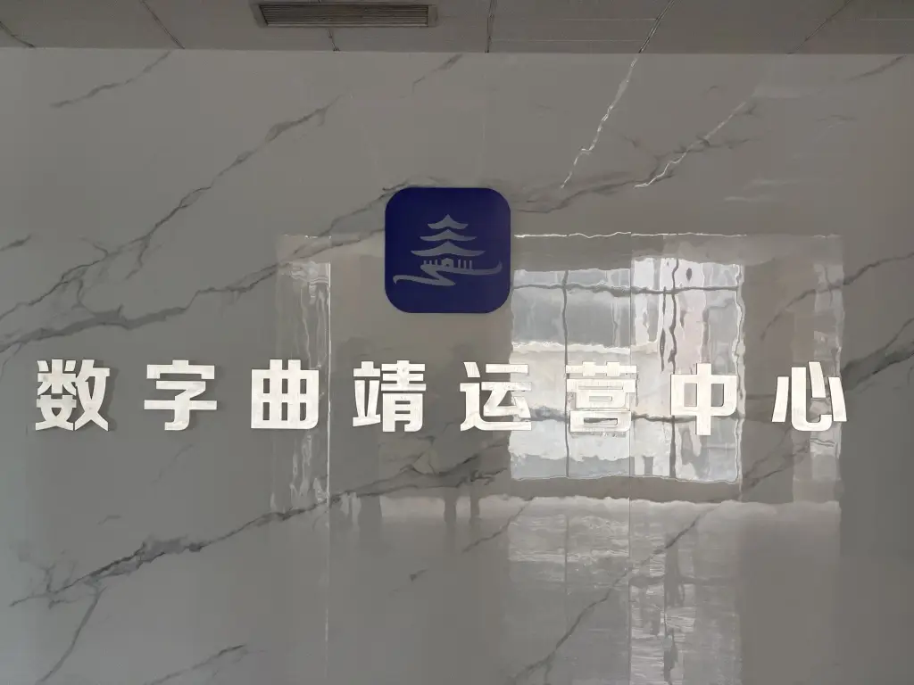 “城市大脑”不该是“脑残工程”