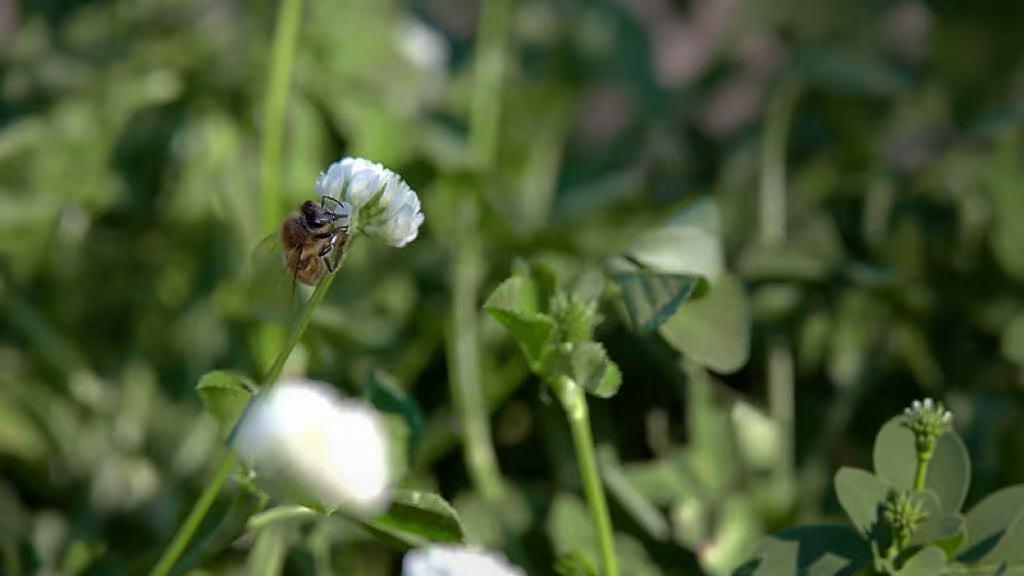 北方港口的逆袭，不靠海而靠“脑”