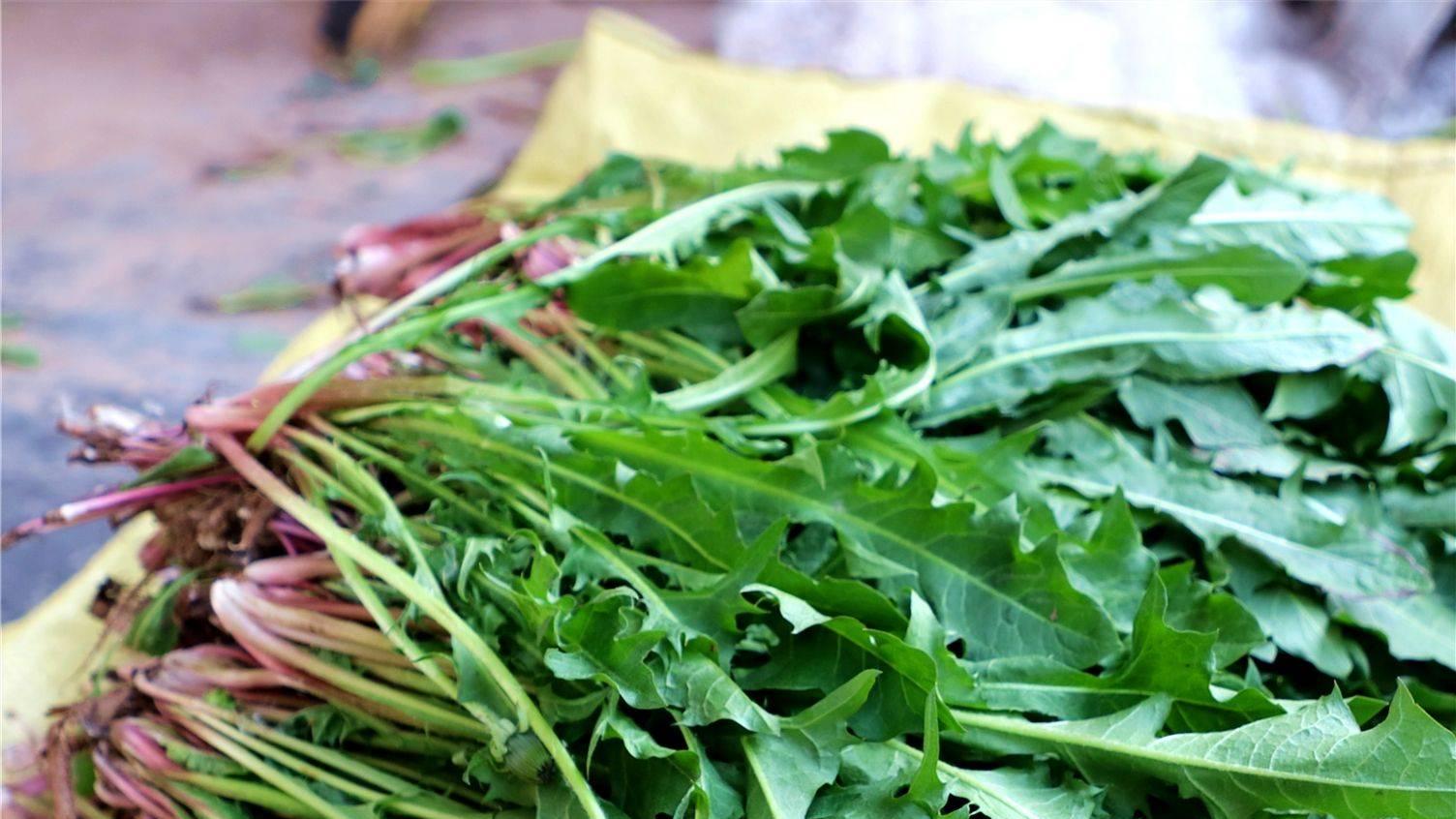 崆峒区鲜嫩的时令野菜纷纷吐绿，抢“鲜”上市
