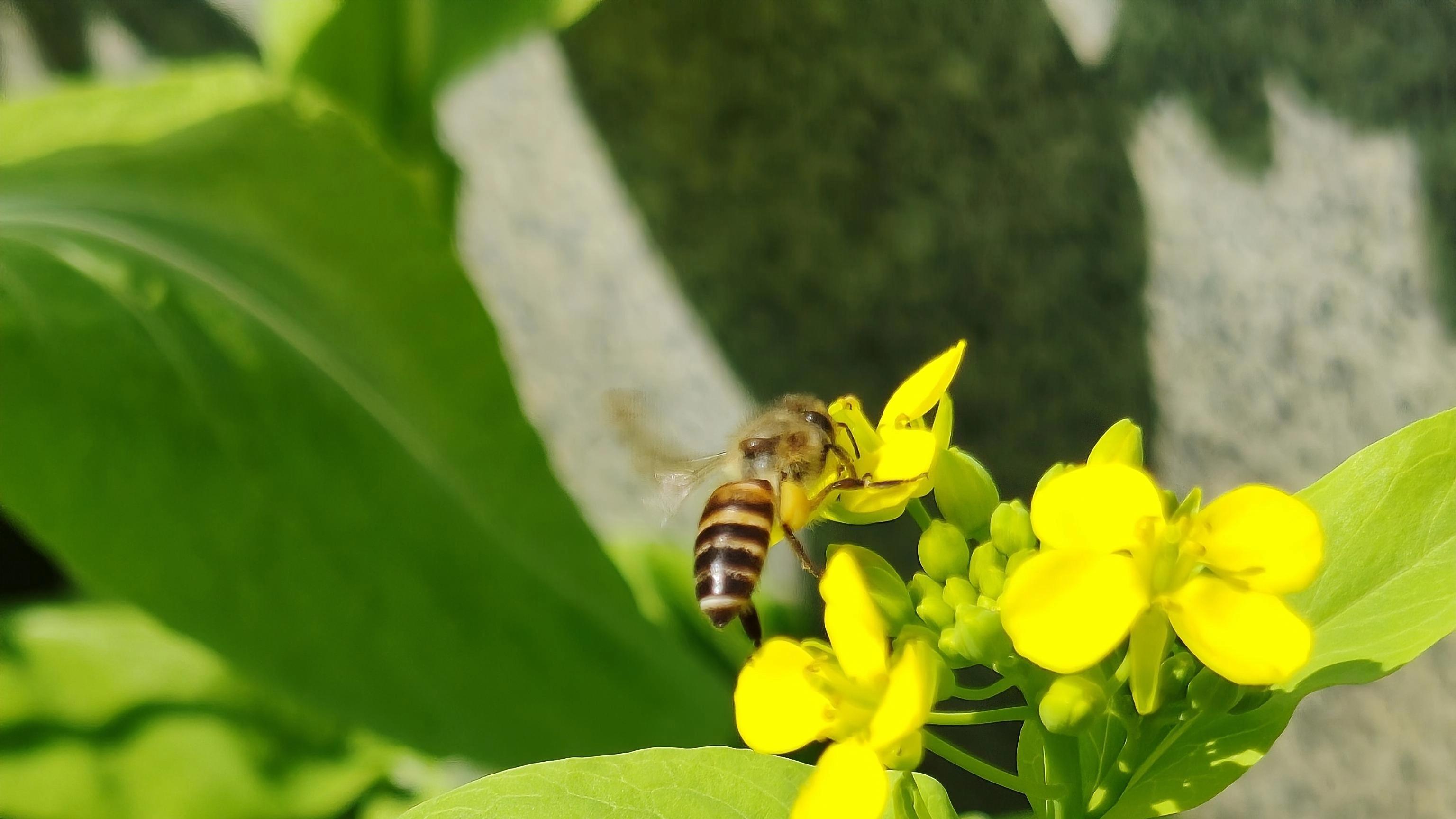 这样的爱抵过世间所有琳琅