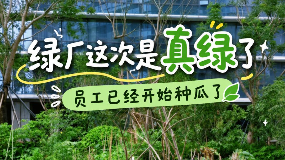 绿厂这次是真绿了，员工已经开始种瓜了