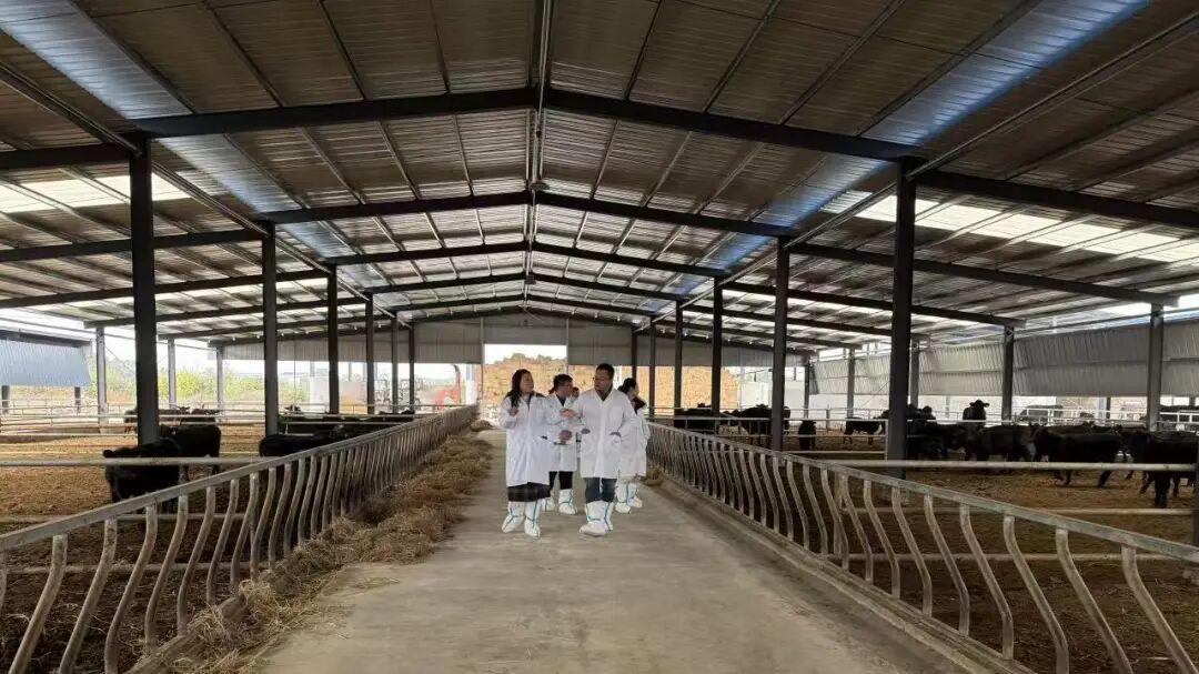 荆门高新掇刀这五年！产业强基沃野富 三农五载硕果盈