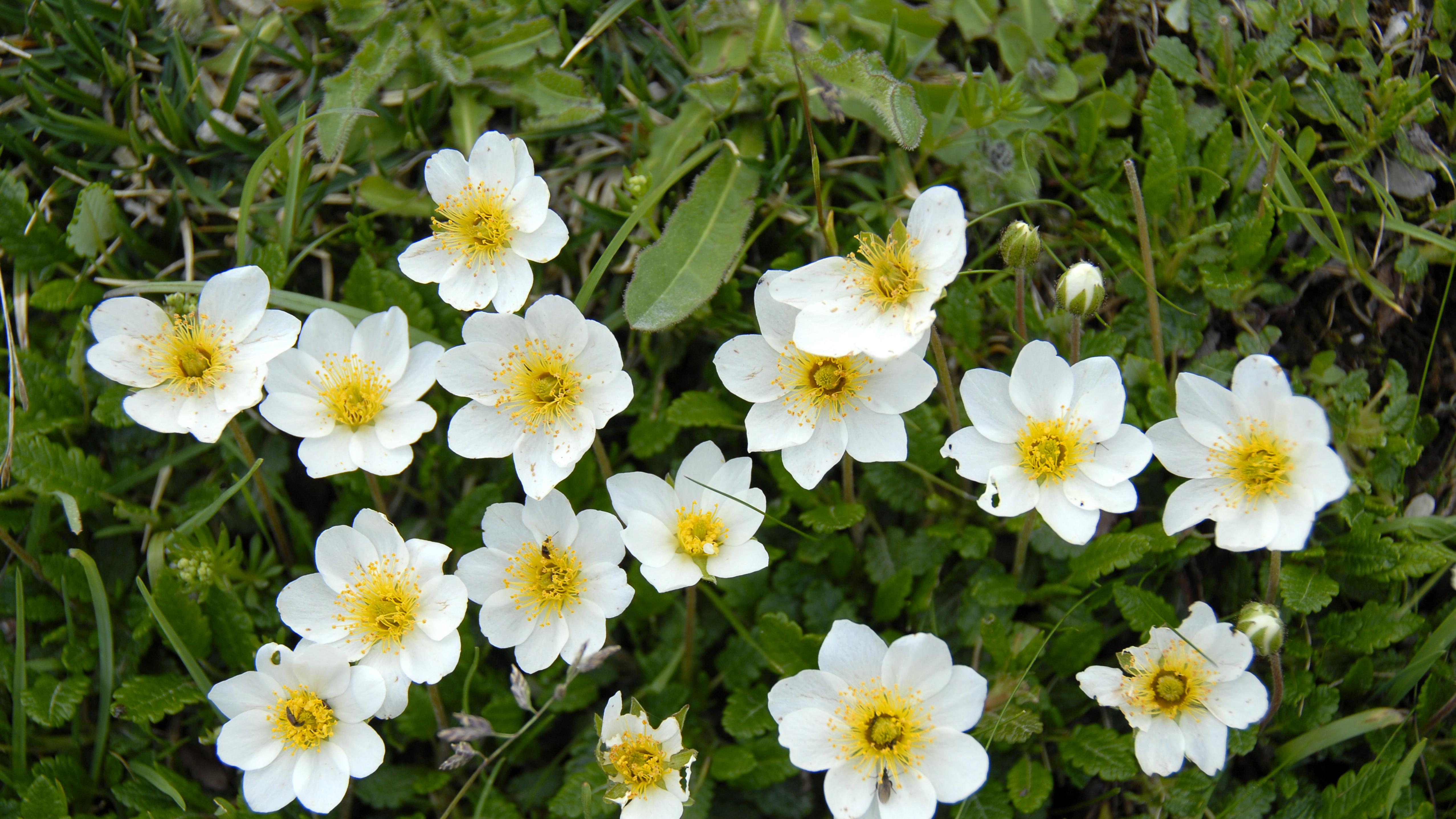 “我不需要国际法”——当超级大国开始裸奔