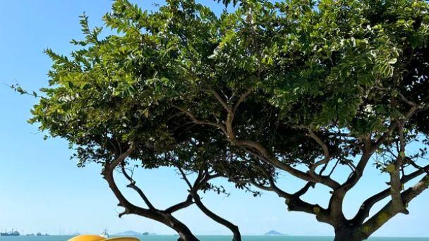 桂山岛不止有海：文天祥、万山海战与环岛风光