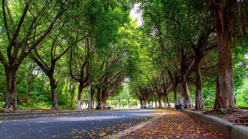 河北单招冲刺：语文和数学，先抓哪科提分更快？|题芽单招