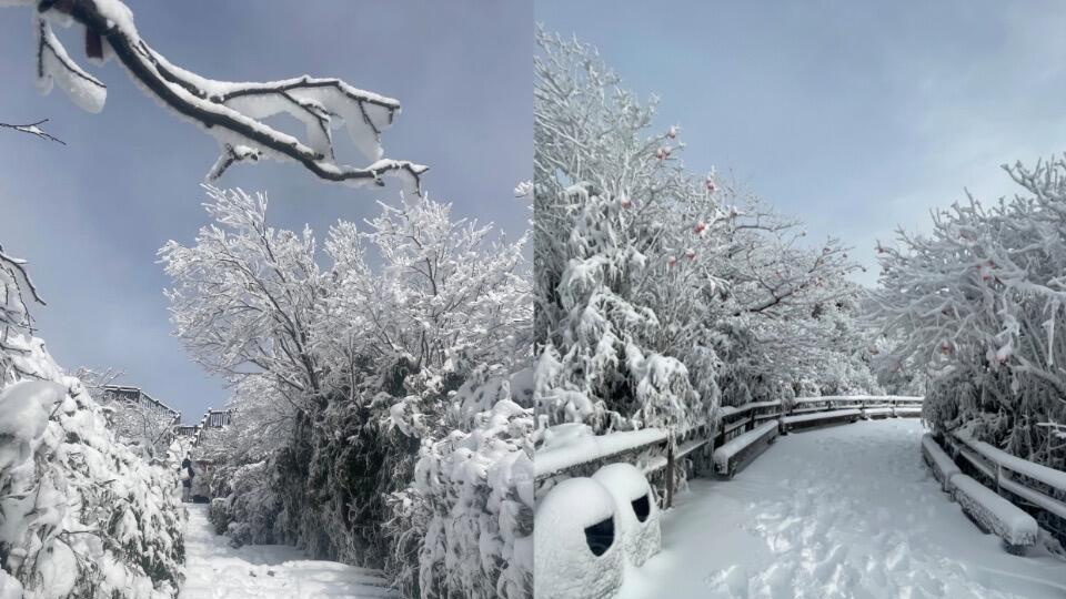 日照旅游攻略已备好，一篇搞定所有