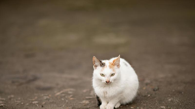 如何收获好人缘？记住这8点就够了