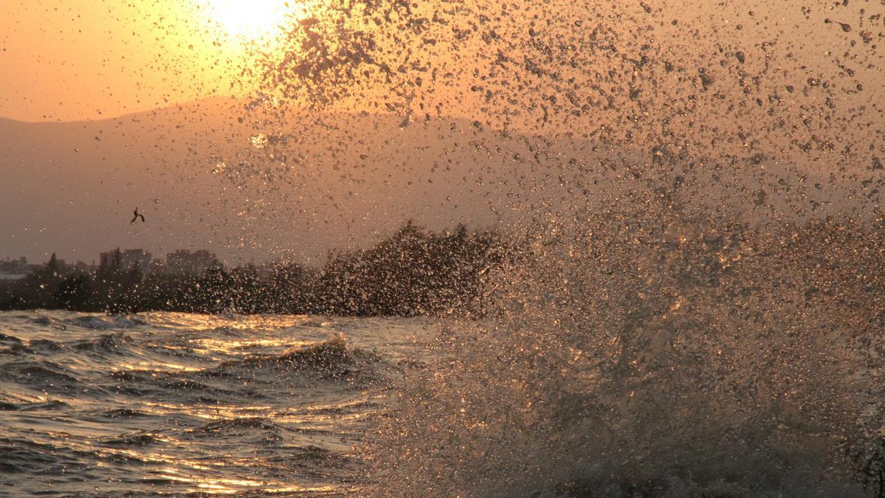 工作时，千万别跟领导汇报这3件事