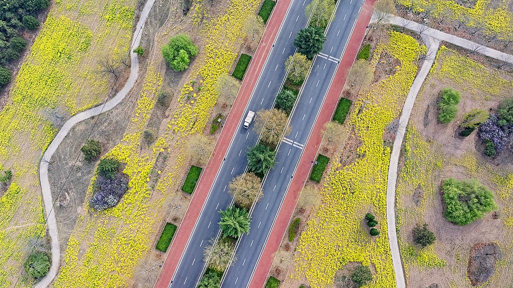 好消息：山西G209国道改线工程可研报告获批！总投资估算183812万