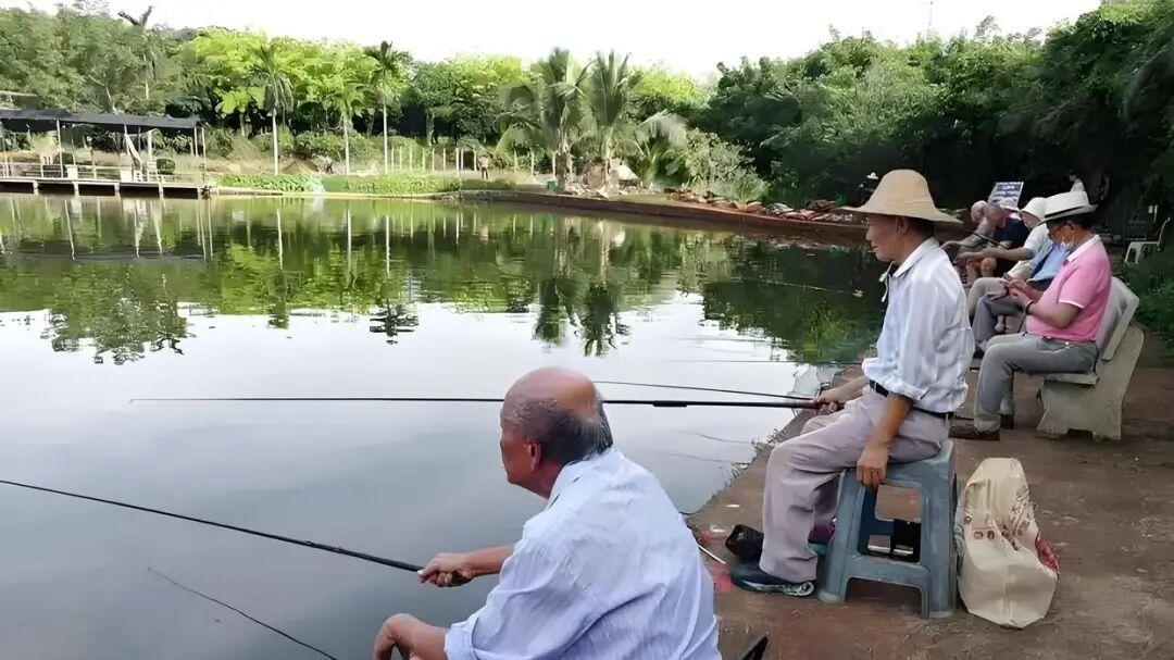 禁钓期该给老人“开绿灯”？60岁老钓匠的呼吁，有理还是胡闹？
