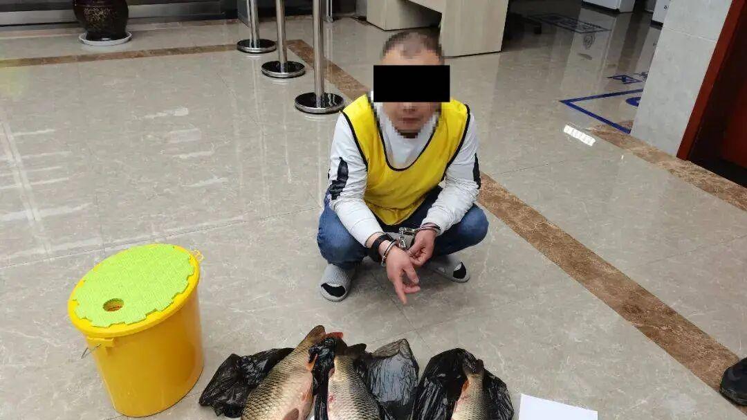 禁渔期偷偷锚鱼？比电鱼更阴损！专杀“孕妇鱼”，这样“钓大鱼”就是违法！