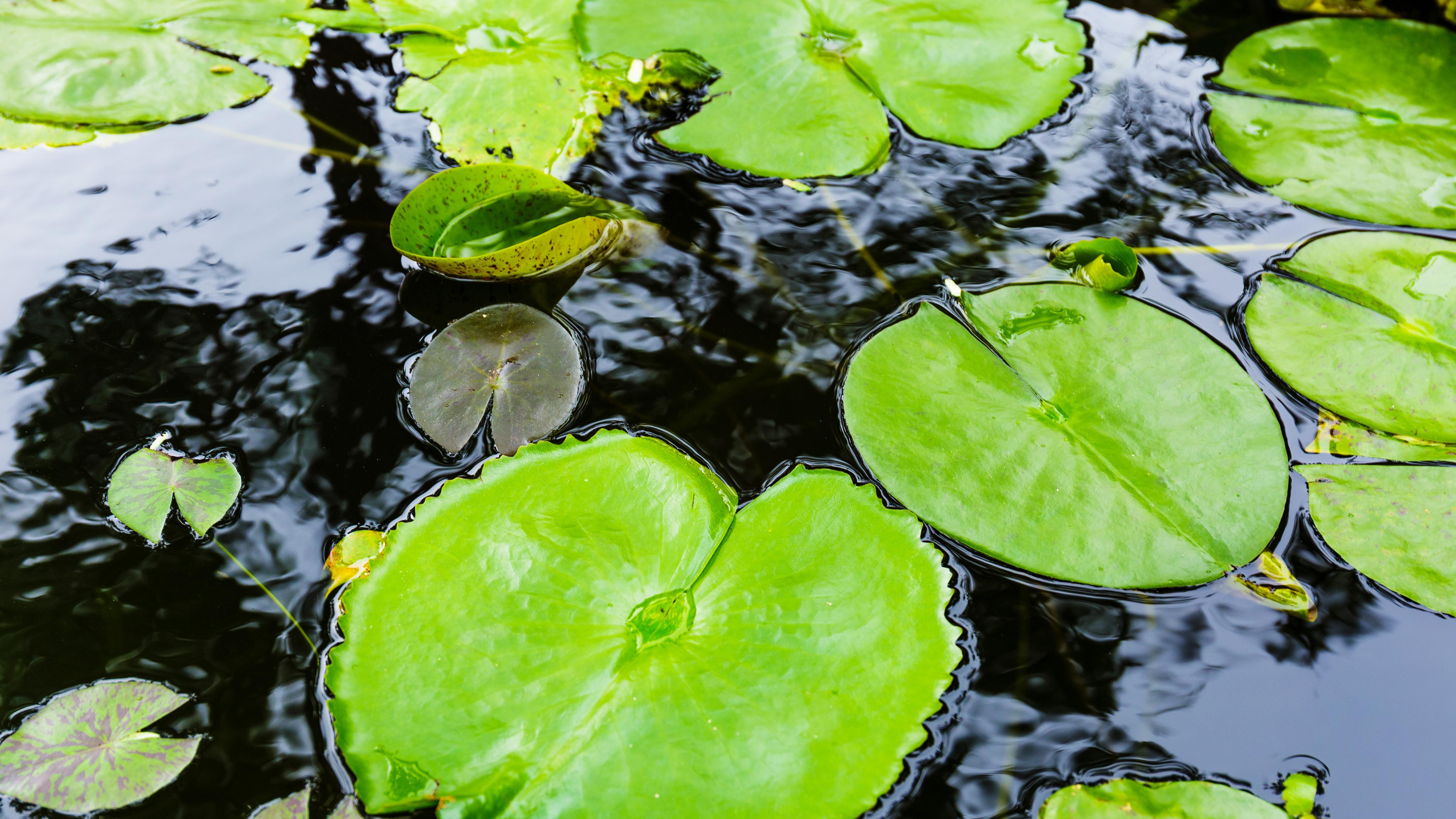 A股春节休9天，真正的考验在节后