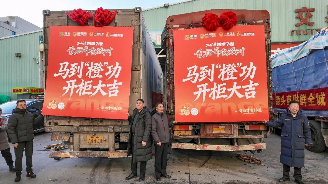 打造“四季7橙”品牌，产业服务中心助力优质鲜橙畅销市场！