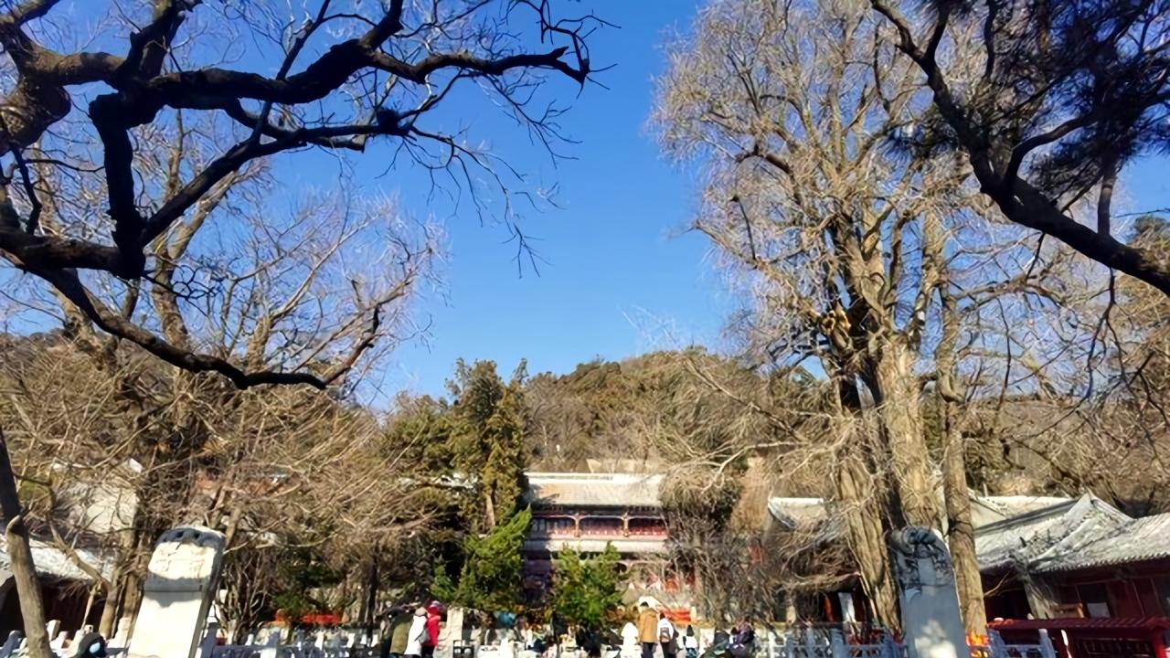 力学为骨撑古建，凝驻千年风华与稳固根基