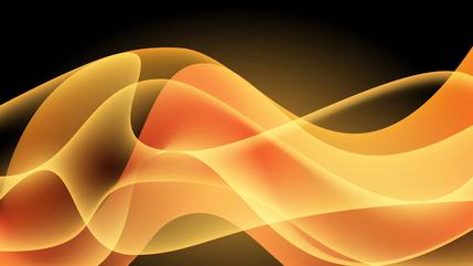 虚假官员套实情