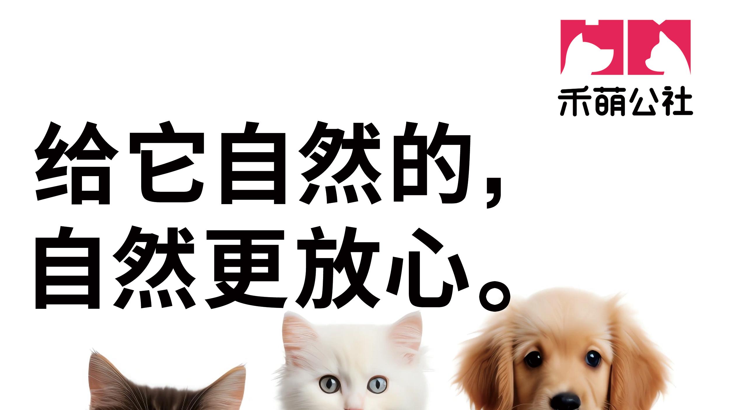 新手养猫选什么粮？5步选粮法+禾萌公社三拼冻干解析