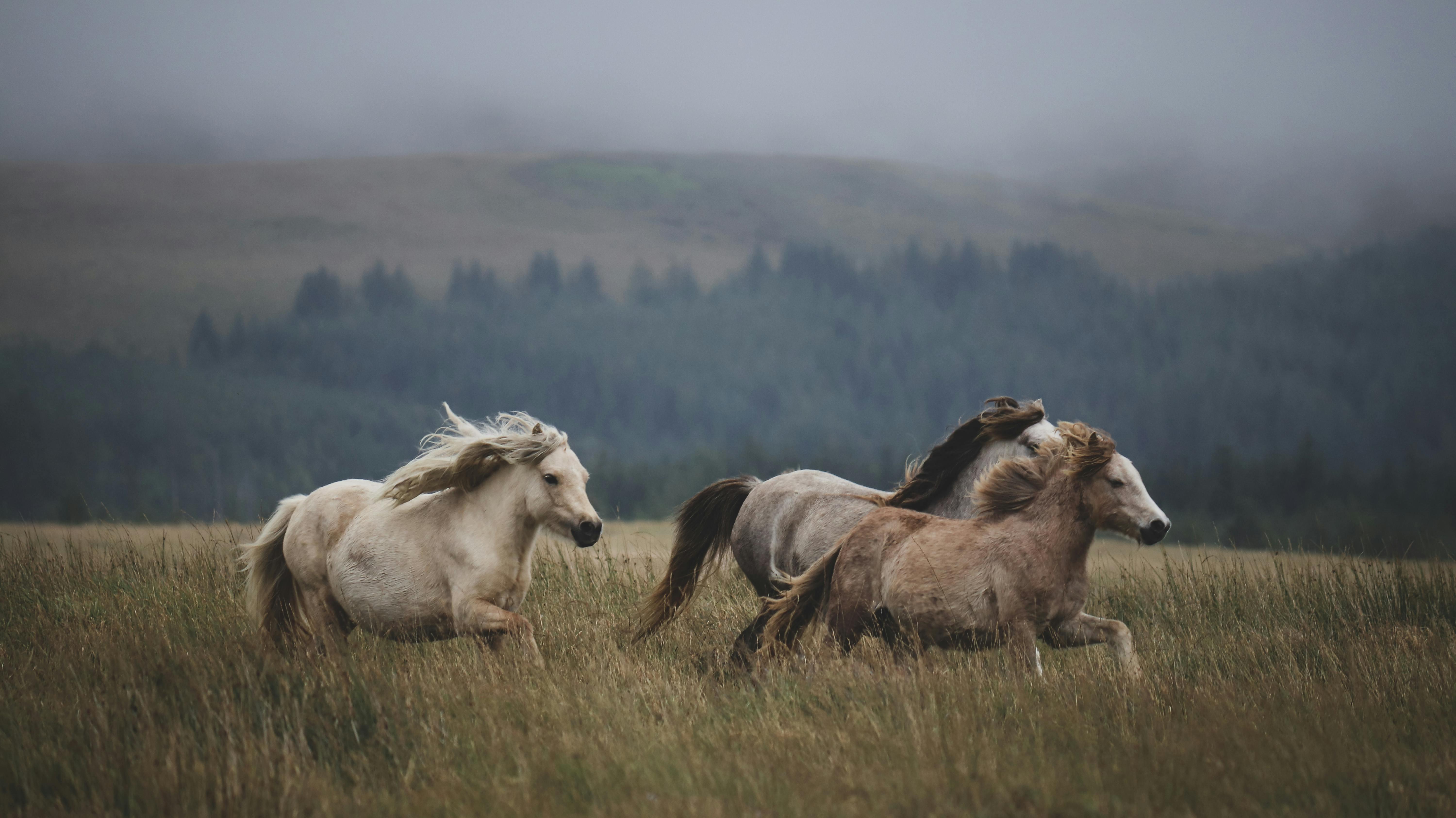 选择大于努力，人生有三次重要的选择，第一次选择尤其关键