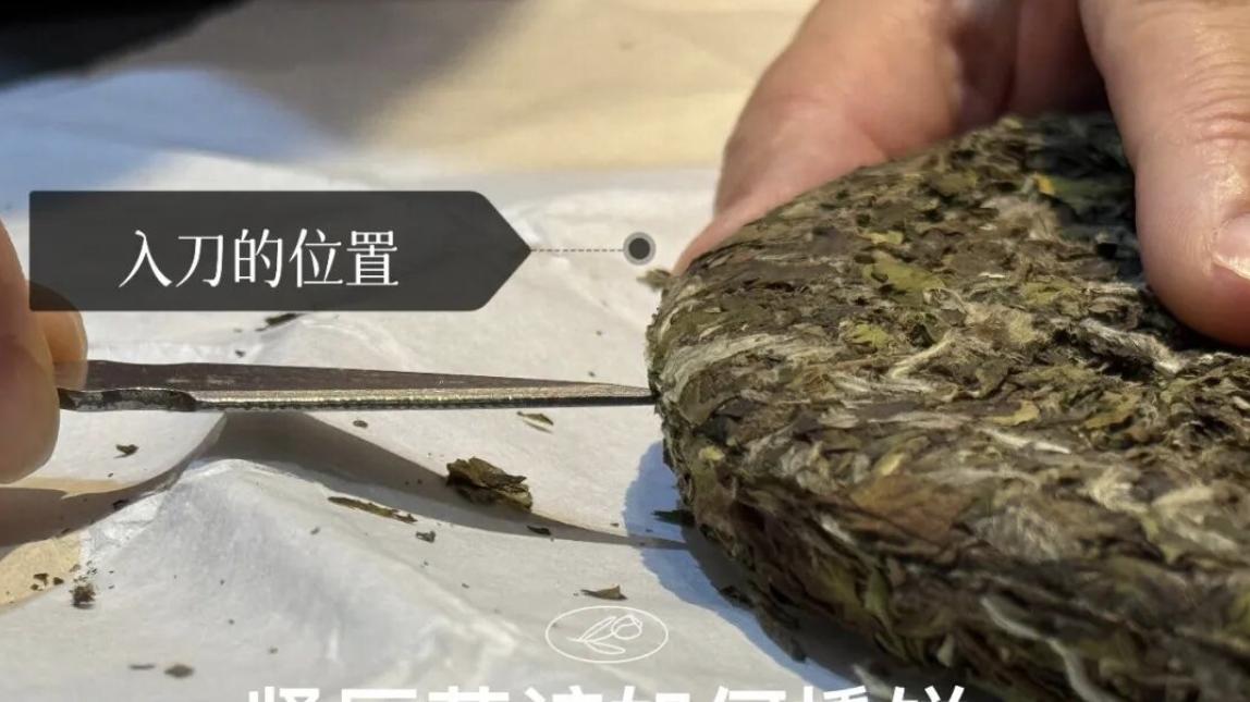 紧压茶、白茶饼该如何撬饼，3分钟手把手教你，轻松搞定白茶饼！