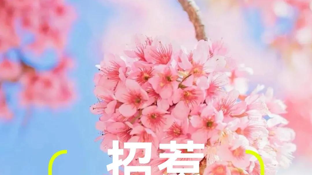 什么样的风水布局容易招惹烂桃花