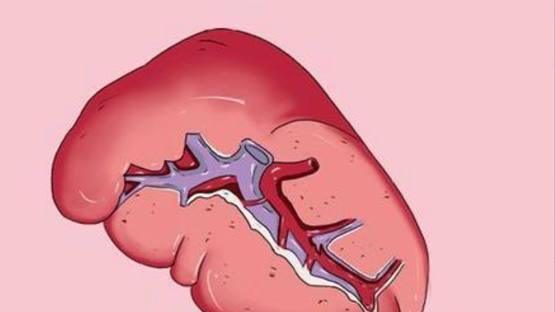 1健脾、2疏肝、3温阳，用好这3个药，舌裂纹自己就消了