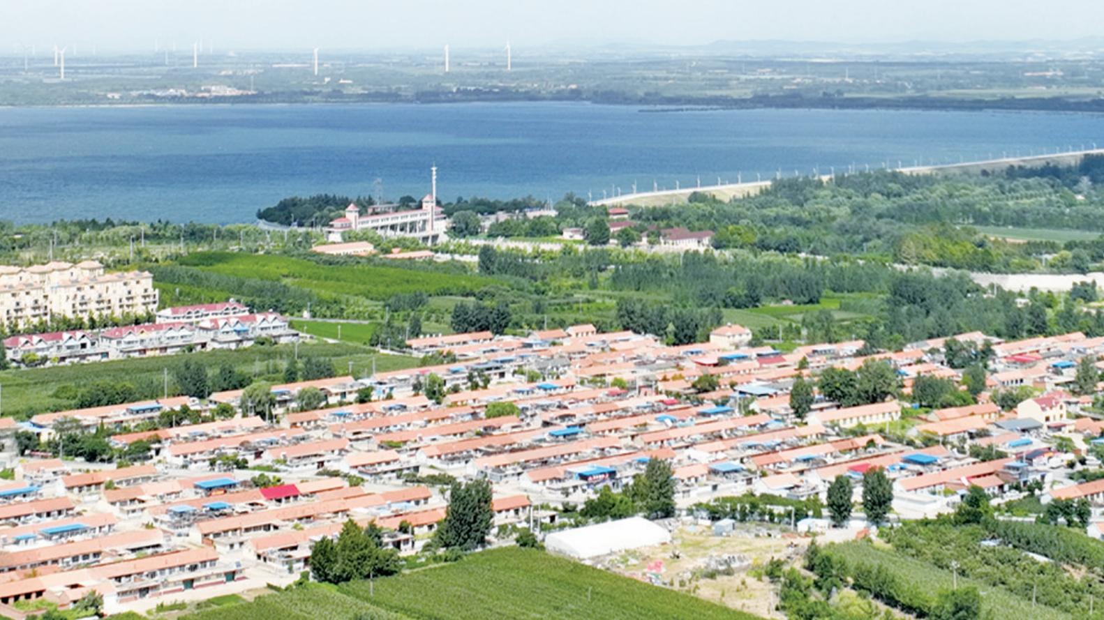 青岛锚定“连片发力”，加快乡村振兴片区提质升级