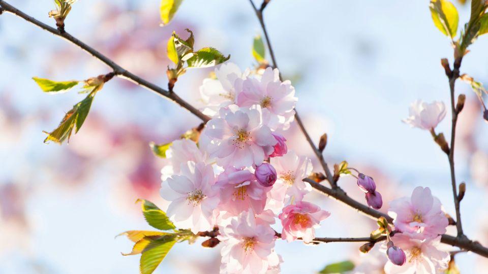 我妈要给外公外婆留次卧，让我住储藏室，我不同意说我不孝顺