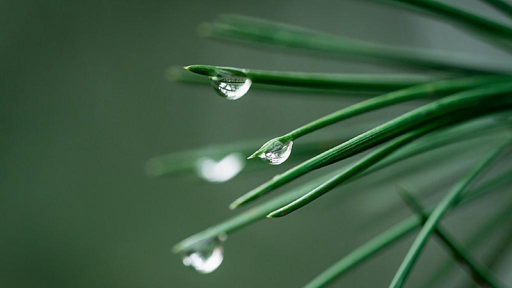 西班牙首相4年内第4次访华