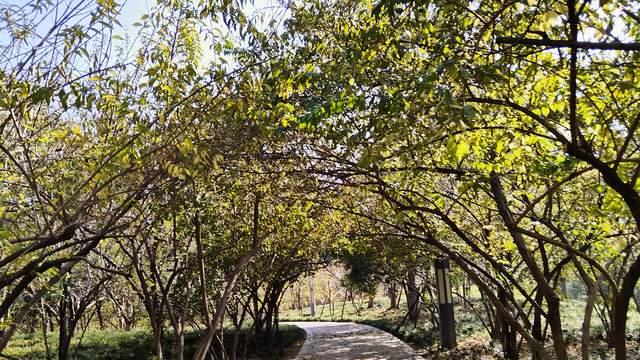 高三一模后轻成绩重状态，心大事就小了，疲惫后快速调整才是突破