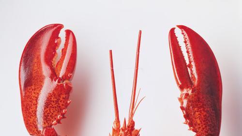 AI智能体热潮下的企业数字化转型