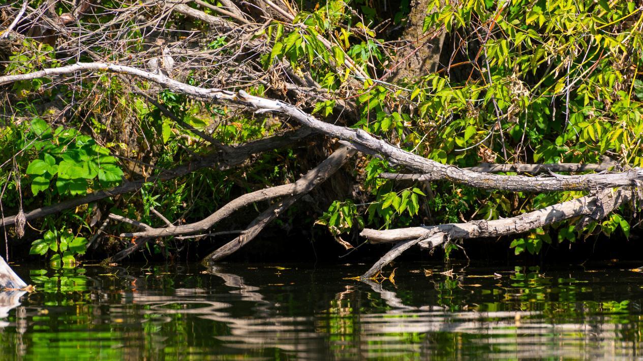 年后错峰！亚庇3天2夜躺玩全攻略