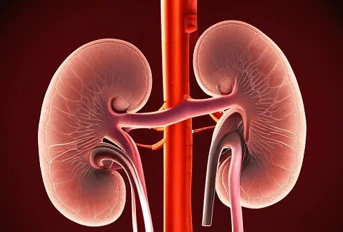 肾病逃过“5年劫”就不会尿毒症？真相背后，这几件事决定了你的肾脏寿命