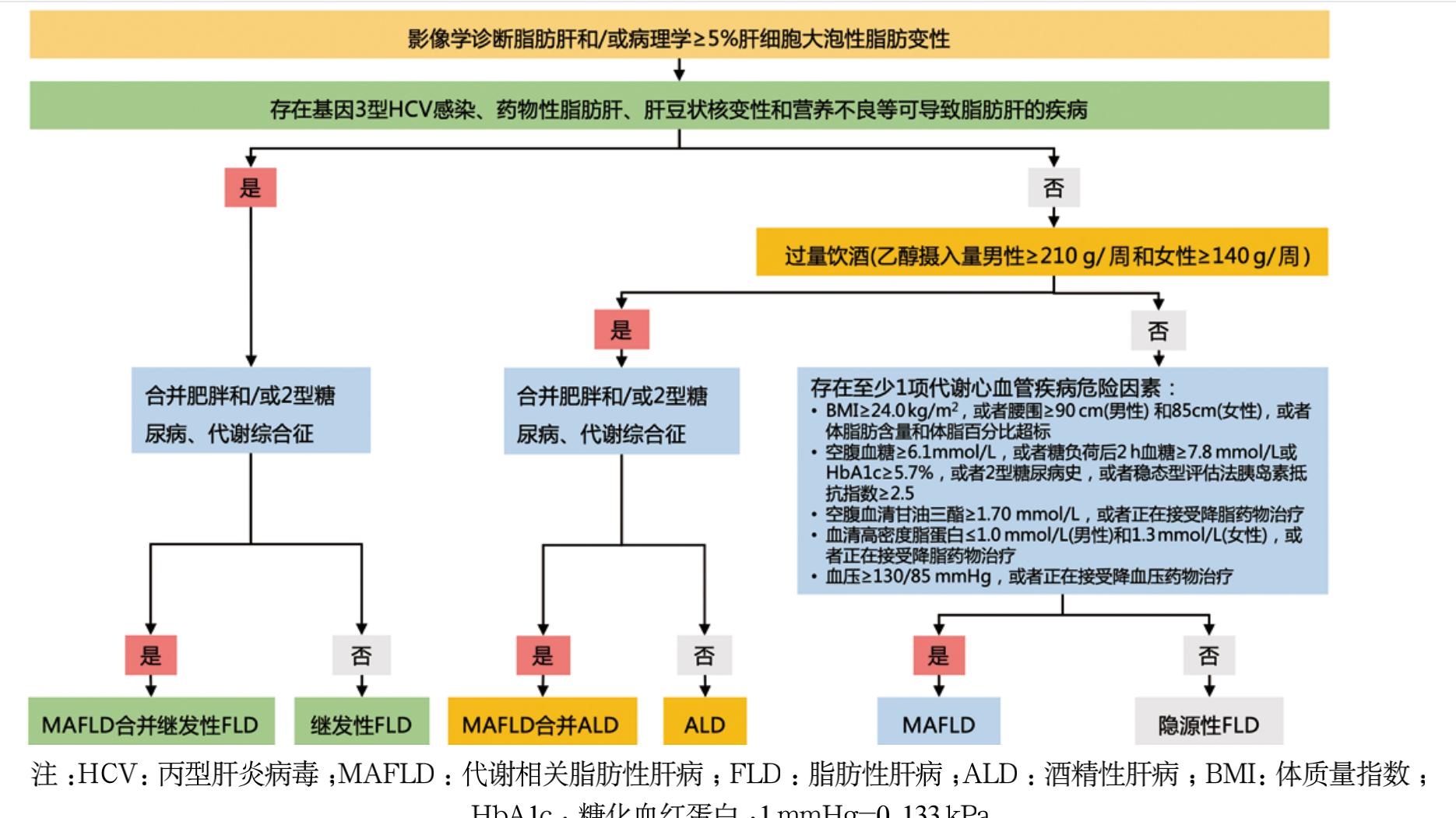 体检发现脂肪肝别不当回事！最新防治指南，一文讲透核心要点！