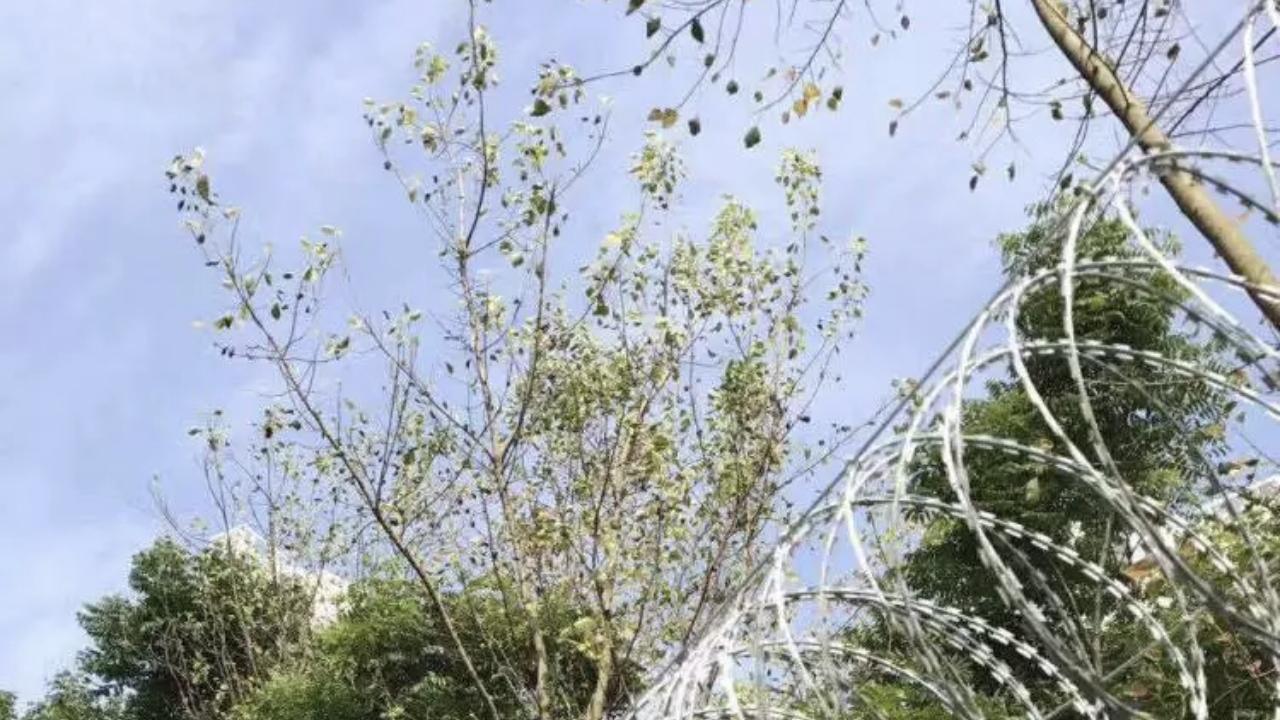 马里军队犯了俄军战初的错误，摩托车到处穿插，由于乌军渗透突击