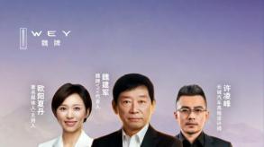 中国豪华如何立旗？魏牌V9X给出一种新答案