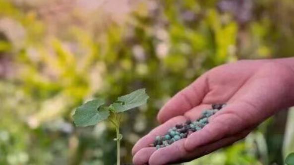 脚踏实地（Grounded）：对话开始前，教练如何进行自我调频？