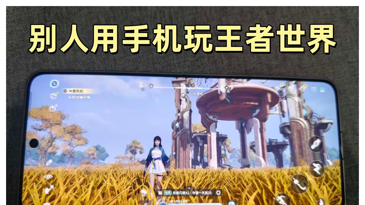也是玩上手机端的王者世界了......